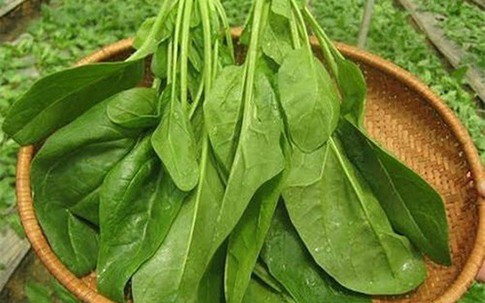Loại rau chống ung thư, tiểu đường, loãng xương cực tốt