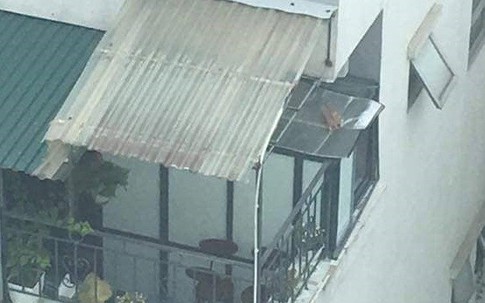 Hà Nội: Xuất hiện 'chuồng cọp' ở tầng 36, dân 'chung cư ông Thản' khiếp vía vì viên gạch lơ lửng