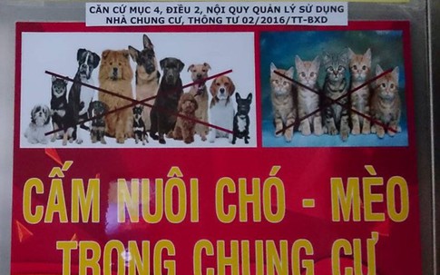 Tranh cãi chuyện nuôi chó, mèo ở chung cư: 'Cuộc chiến' không hồi kết