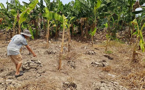 Lời khai của lão ông 74 tuổi sát hại hàng xóm, giấu xác dưới kênh