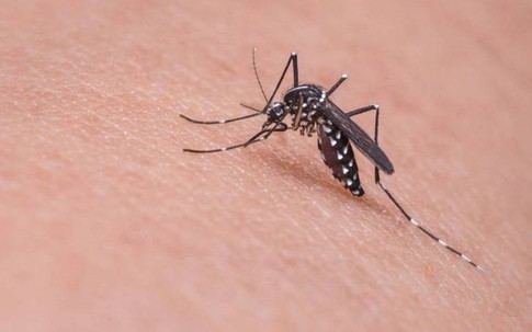 Sốt xuất huyết: Đừng chủ quan khi mùa mưa đến!