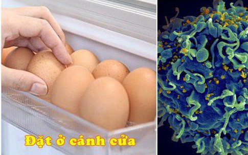 Ngày nào cũng để trứng sau cửa tủ lạnh, nghe chuyên gia nói tác hại mà “rụng rời”