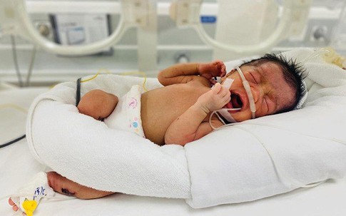 Phú Thọ: Cứu sống bé sơ sinh bị bỏ rơi trong tình trạng nguy kịch