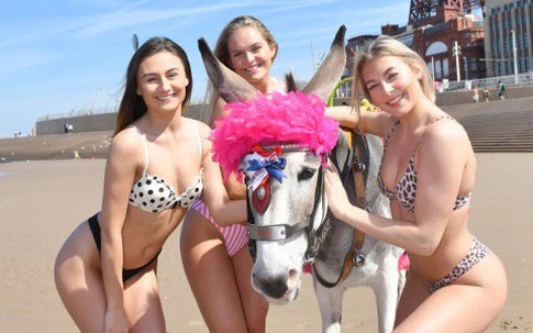 Nắng nóng kéo dài ở Anh, nhiều cô gái xinh đẹp khoe thân hình “đốt mắt” với bikini