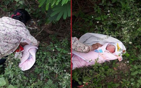 Bé sơ sinh bị bỏ rơi trong rừng ở Sơn La đã có gia đình xin nuôi