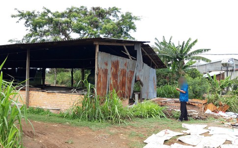 Trang trại bủa vây, người già, trẻ con lăn lóc ốm