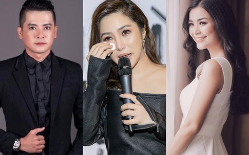 Không chỉ Hương Tràm, nhiều nghệ sĩ Việt chấm dứt sự nghiệp đầy tiếc nuối như thế này