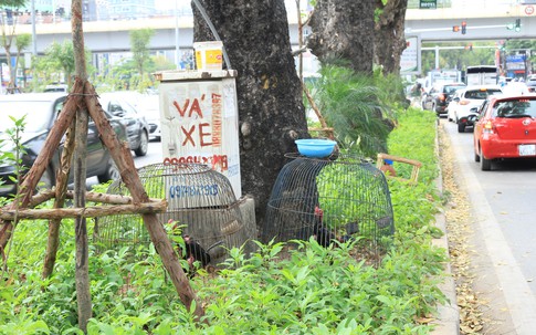 Những hình ảnh xấu xí tại Thủ đô: Rác thải, cọc bê tông ngổn ngang hè phố