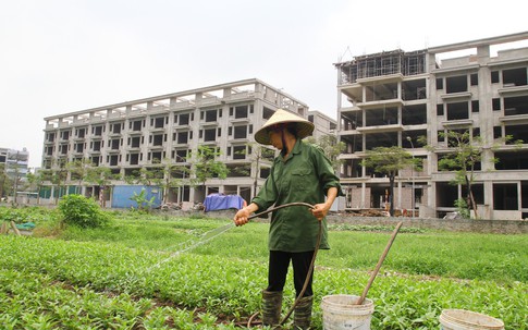 Hà Nội: Vì sao dự án Trường THPT chất lượng cao Mùa Xuân ở quận Long Biên lại bị người dân phản đối?