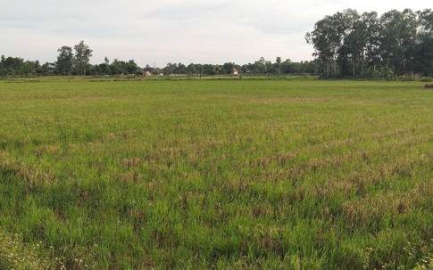 Huyện Quảng Xương (Thanh Hóa): Nhà thầu mất tích, 200 ha đất... “đi hoang”