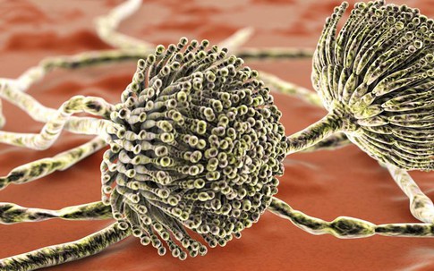 4 thói quen ăn uống có thể khiến bạn không nhiễm sán cũng có ngày mất gan