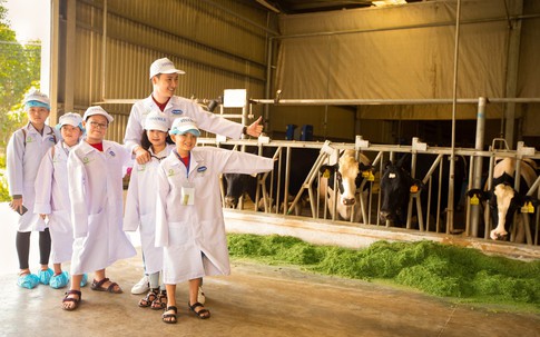 Tận mắt thấy những cô bò ở "Resort" góp công vào ly sữa học đường