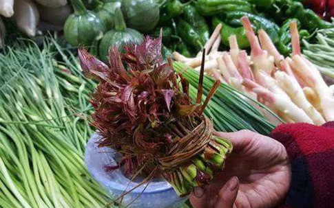 Loại rau đầy rẫy ở nông thôn nhưng vào siêu thị bán với giá hơn 400.000 đồng/nửa kg