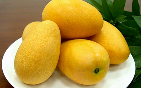 Xoài ta đang vào mùa rẻ bèo nhưng dân vẫn đổ tiền mua xoài mini Đài Loan giá gần triệu đồng/kg