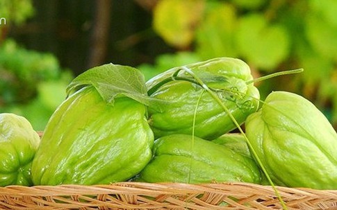 Ăn su su vừa bổ, vừa chữa nhiều bệnh thế này mà nhiều người không biết
