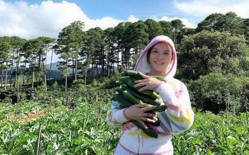 Lý Nhã Kỳ mua 50 hecta đất đồi ở Đà Lạt để trồng rau, nuôi gà