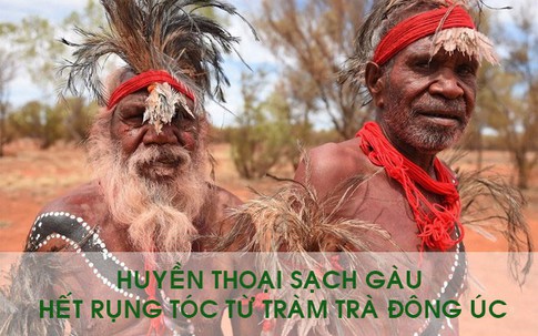 'Huyền thoại' sạch gàu, hết rụng tóc từ tràm trà đông úc đang gây sốt trong cộng đồng mạng