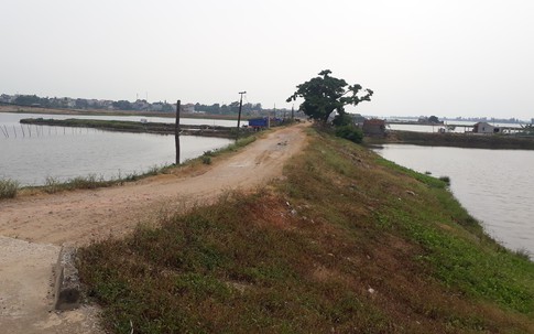 TP Sầm Sơn (Thanh Hóa): Trước mùa mưa bão,  hàng nghìn hộ dân lo đê vỡ