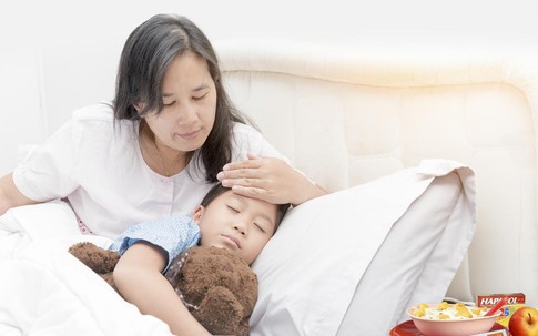 Cẩm nang đối phó với sốt xuất huyết cho cả gia đình