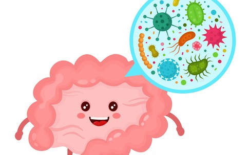 Nguồn dưỡng chất kim cương giúp bé phát triển trí não, mẹ đã biết?