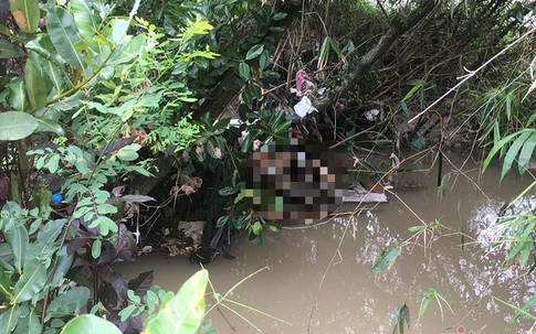 Thi thể nữ giới phân hủy, mắc kẹt trên rạch ở Bình Dương
