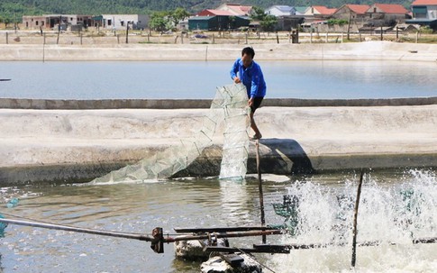 Hà Tĩnh: Đào tạo nghề, giải quyết việc làm cho người dân sau sự cố môi trường biển