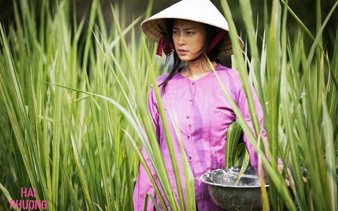 Vì sao phim 'Hai Phượng' của Ngô Thanh Vân được chọn dự tranh Oscar 2020?