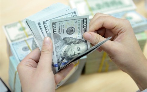 Tình huống lạ, giá USD 'đóng băng' tại hàng loạt ngân hàng