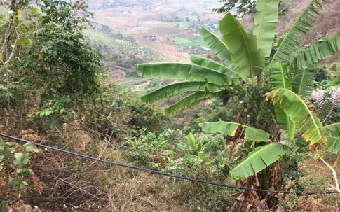 Sơn La: Ô tô lao xuống vực sâu 400m, 2 bố con thương vong