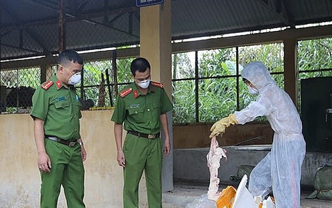 Lạng Sơn: Bắt giữ 600kg nầm lợn bốc mùi hôi thối sắp tuồn ra thị trường