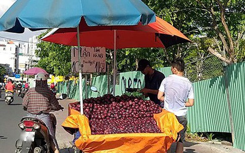 Mận tím 'khổng lồ' Trung Quốc bán đầy đường Sài Gòn