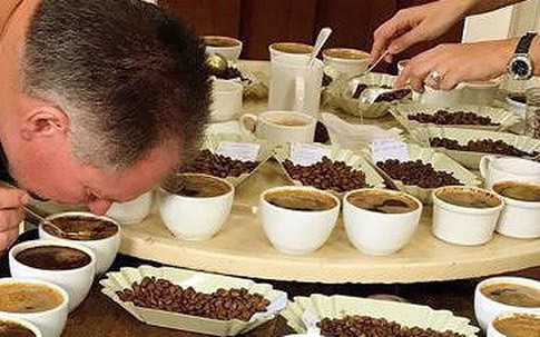 Uống một ly cà phê 'mất đứt' gần nửa chỉ vàng