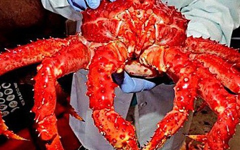Hàng hóa Mỹ vào Việt Nam tăng mạnh