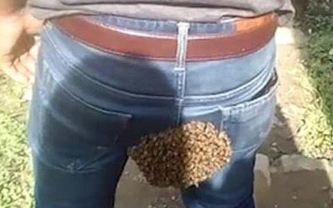 Chàng thanh niên hốt hoảng khi bị hàng trăm con ong đeo bám