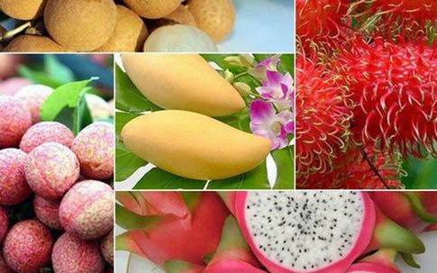 6 loại trái cây tươi ở Việt Nam đã được xuất khẩu thành công với giá bán "khó tin"