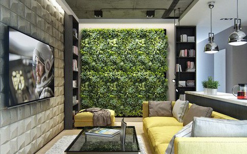 Căn hộ đẹp nổi bật với bức tường bằng cây xanh