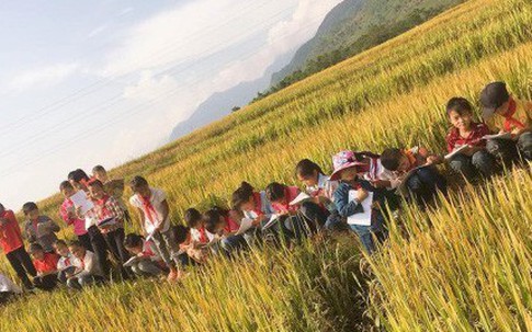 Tiết học ngập sắc vàng khiến trẻ em phố thị khát khao