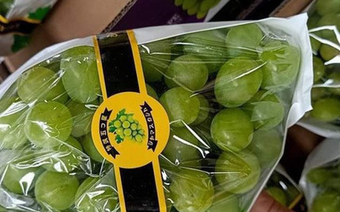 Bốn loại quả Tàu đội lốt hàng Tây, tin lời dân buôn ăn cú hớ nặng