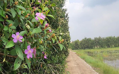 Chồng vừa mất vì ung thư, tôi bị dượng gạ tình giữa đêm