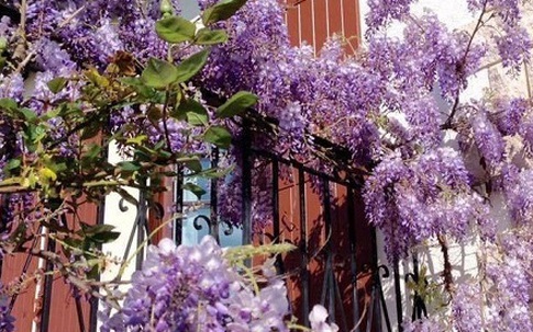 3 tháng xa cách, chồng nổi máu ghen vì vết bầm trên cổ vợ