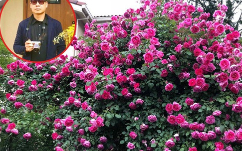 Khu vườn hoa hồng với đủ loại từ nội đến ngoại rộng 100m² ở Quảng Ninh
