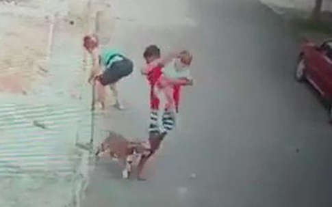 Thót tim cảnh cứu bé trai bị chó dữ tấn công