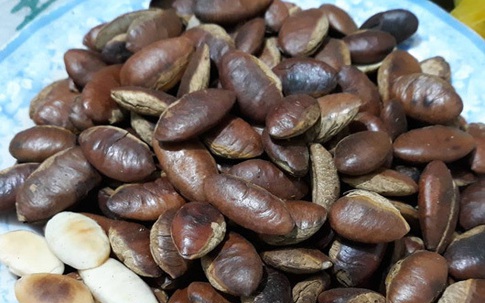 Ăn hạt Kơnia, Hà thành đua nhau mua đồ rừng đãi khách ngày Tết