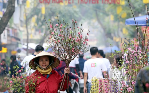 Ghé thăm chợ hoa cổ Hàng Lược mỗi năm chỉ họp duy nhất một lần ở Thủ đô