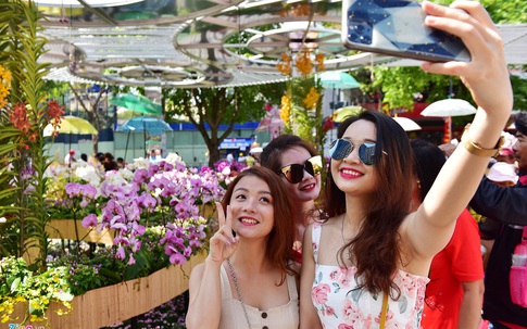 Chưa hết Tết, hàng trăm chậu hoa bị đạp nát ở đường hoa Nguyễn Huệ