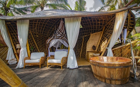 Ngôi nhà trên cây đẹp đến mức ai cũng ước ao ghé thăm