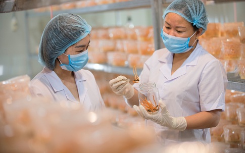 Bật mí loại thảo dược quý sẽ giúp đường hô hấp khỏe mạnh hơn khi thời tiết trở lạnh