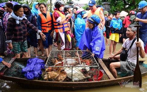 Hình ảnh chạy lũ của người dân Quảng Bình, Hà Tĩnh