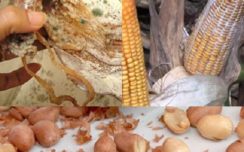 6 nhóm thực phẩm tế bào ung thư "cực thích", cần tránh xa càng sớm càng tốt