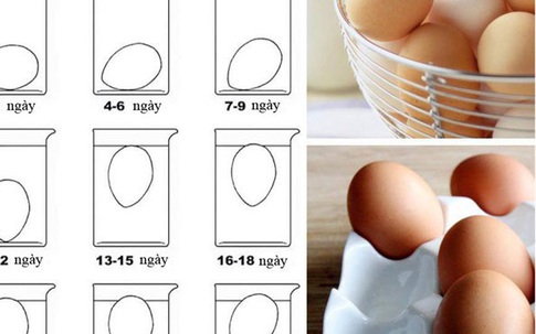 Luộc trứng tưởng là dễ nhưng liệu chị em đã biết cách luộc trứng chín theo từng cấp độ chưa?